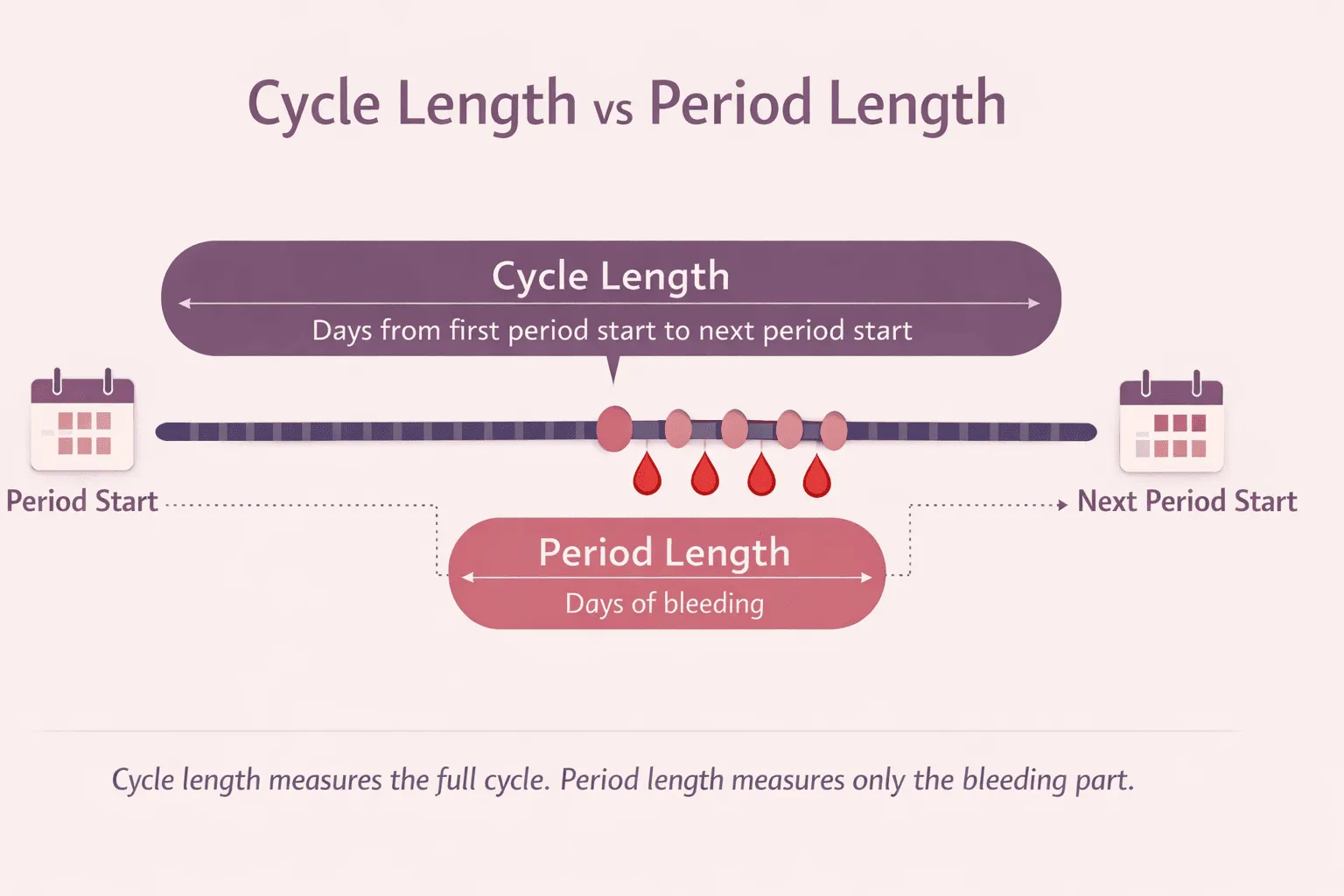 Infographic showing the difference between cycle length and period length in a menstrual cycle