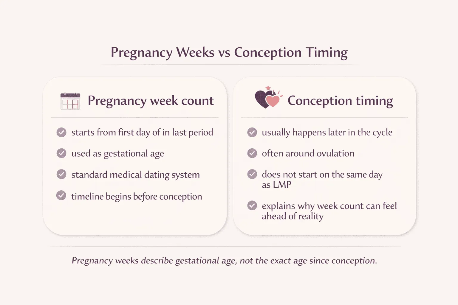 Comparison infographic showing pregnancy week counting from LMP versus the later timing of conception
