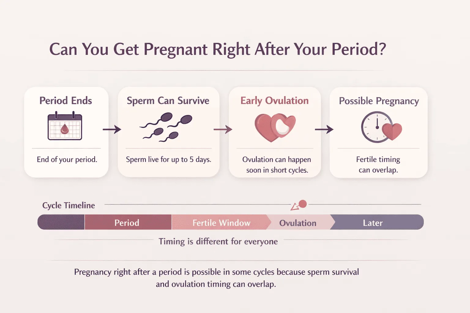 Infographic showing how pregnancy can be possible right after a period depending on cycle timing, sperm survival, and ovulation timing